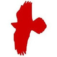Red Raven Design Ltd's profile photo