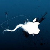 Tjaara Net's photo