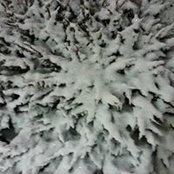 Hideaki Kojima's photo