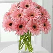 Vickie Dufault's photo