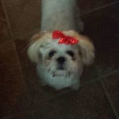 Foto de Sheree Brown