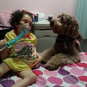 Dasha Labradoodle's photo