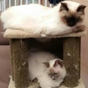 Dee Slattery's photo