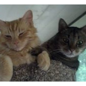 Leslie Thorne's photo