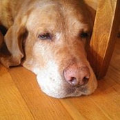 Scott Lawton's photo