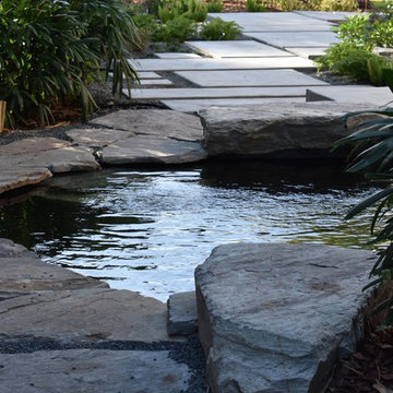 Front Yard Water Garden Pond