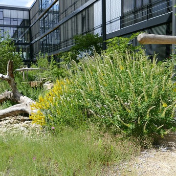 Naturnahes Firmengelände für die Kärcher GmbH & Co KG (Winnenden)