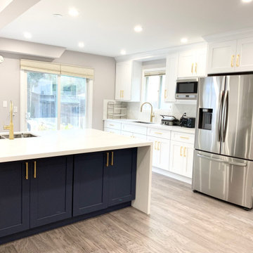 Mississauga Main Floor Renovation