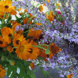 Flora Verdura - Products
