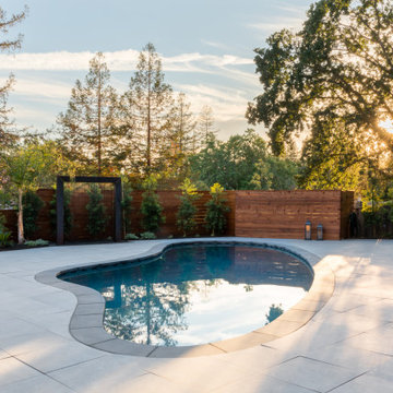 Zen Pool Garden