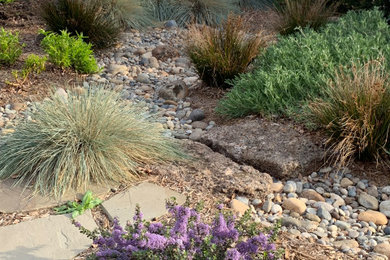 Design ideas for a transitional landscaping in San Francisco.