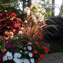 Container Gardening