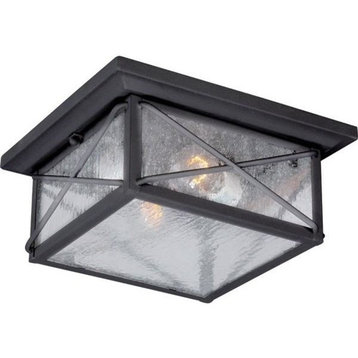 Wingate 2 Light Outdoor Flush Fixture With Clear Seed Glass