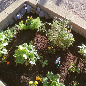 Concrete Block Raised Vegetable & Flower Garden