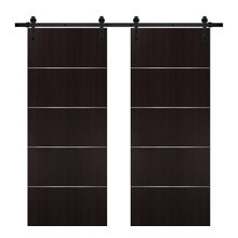 Barn Doors