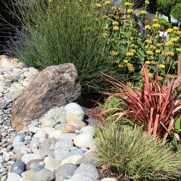Rainwater Harvesting and Water Conserving