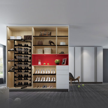 Modern Storage Shoe Cabinet