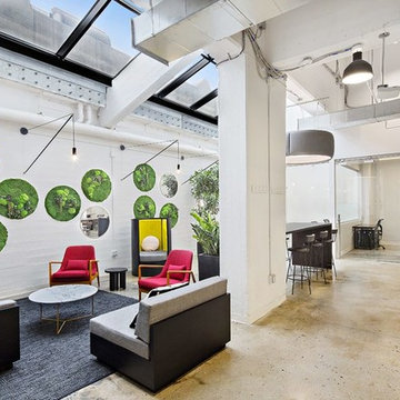 Ignitia Office NYC Wall Gardens Project