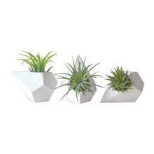 Flower Pots
