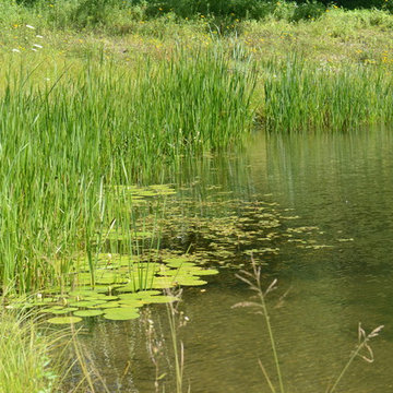 Millerton Retreat: Pond