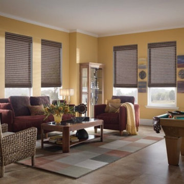 Contemporary Roller Shades