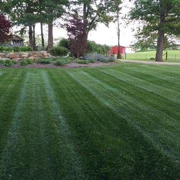 Lawns