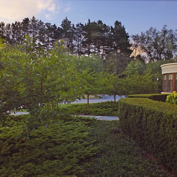 Planting Bed With Evergreen Hedge