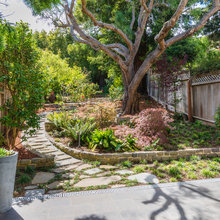 Mad's Backyard