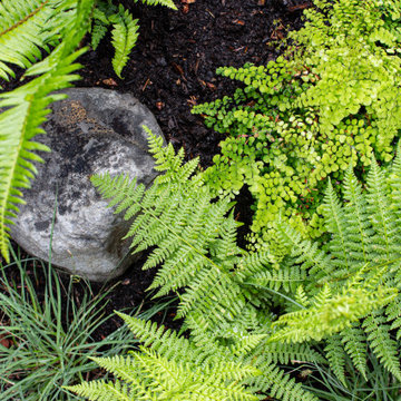 Richmond Asian-Inspired Garden