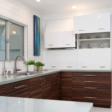 Mid-Century Modern Rendition