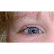 John Hoffman's photo