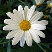 Colin Strickland's photo