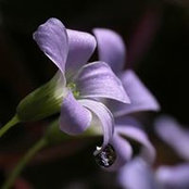 Bara'a Hisham's photo