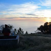 Joe Welch's photo