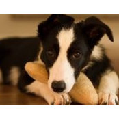 Jessica Morrison's photo
