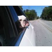 Philip Cassel's photo