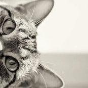 Amanda Allsopp's photo