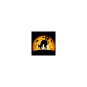 Myriam Pisano's photo