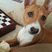 Deanna Gasser's photo