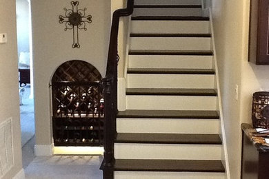 This is an example of a mid-sized traditional wood straight staircase in Orlando with painted wood risers.