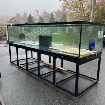 The JKFish croc squad in full effect with a new 1200 gallon home