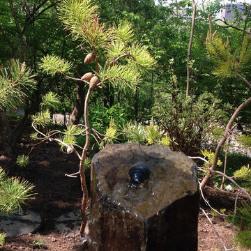 Highland Park, NJ. Certified NWF Natural Backyard Habitat
