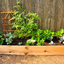 Veg Garden