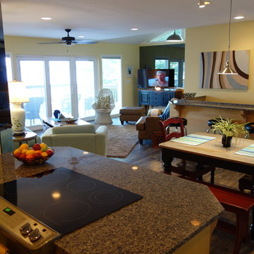 Spring 2014 Lake Guest House Renovation