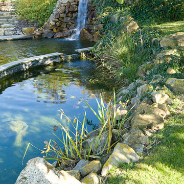 Le bassin,skimmer naturel de la baignade ecologique