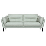 Armen Living - Franz Mint Leather Sofa, Mint - Reminiscent of the mid-century modern era, the Franz sofa blends retro and modern together for a stylish and comfortable seating experience for your home. This sofa can comfortably accommodate up to 3 and features beautiful leather upholstery that's further complimented by black metal legs. The Franz offers the perfect spot to snuggle up with a good book, enjoy your favorite show, or take a mid-day nap. The combination of web suspension and sinuous springs seat construction provides a balance of flexibility and support. The webbing evenly distributes weight, and the sinuous springs add a subtle bounce and responsiveness. The durability does not stop at the seat construction, the leather upholstery is easy to care for and will outlast normal wear and tear more than most upholstery fabrics. This leather couch is the perfect addition to any home and makes for the best seat in the house for a movie, family gatherings, or date night. This sofa is available in your choice of mint, sky blue, dove gray, or midnight blue leather upholstery.