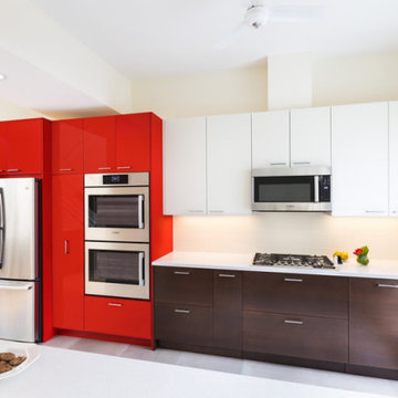 High-Contrast Custom Kitchen Cabinetry | Lincoln Park, Chicago