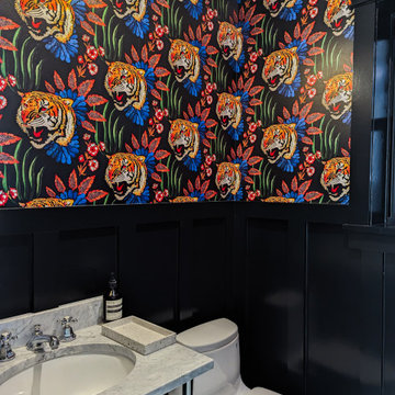 Andersonville Full Home Renovation