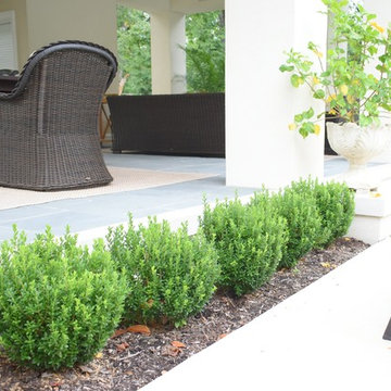 Kirkwood Boxwood Pruning