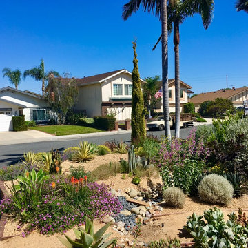 Soft Desert Gardens